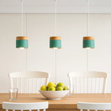 LED Hängelampe aus Holz im skandinavischen Morandi Design