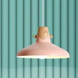 hangelampe esstisch nordisch schlicht farbig minimalistisch - Clowas.de