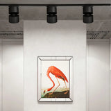 Moderne verstellbare LED Deckenleuchte für Schienensysteme