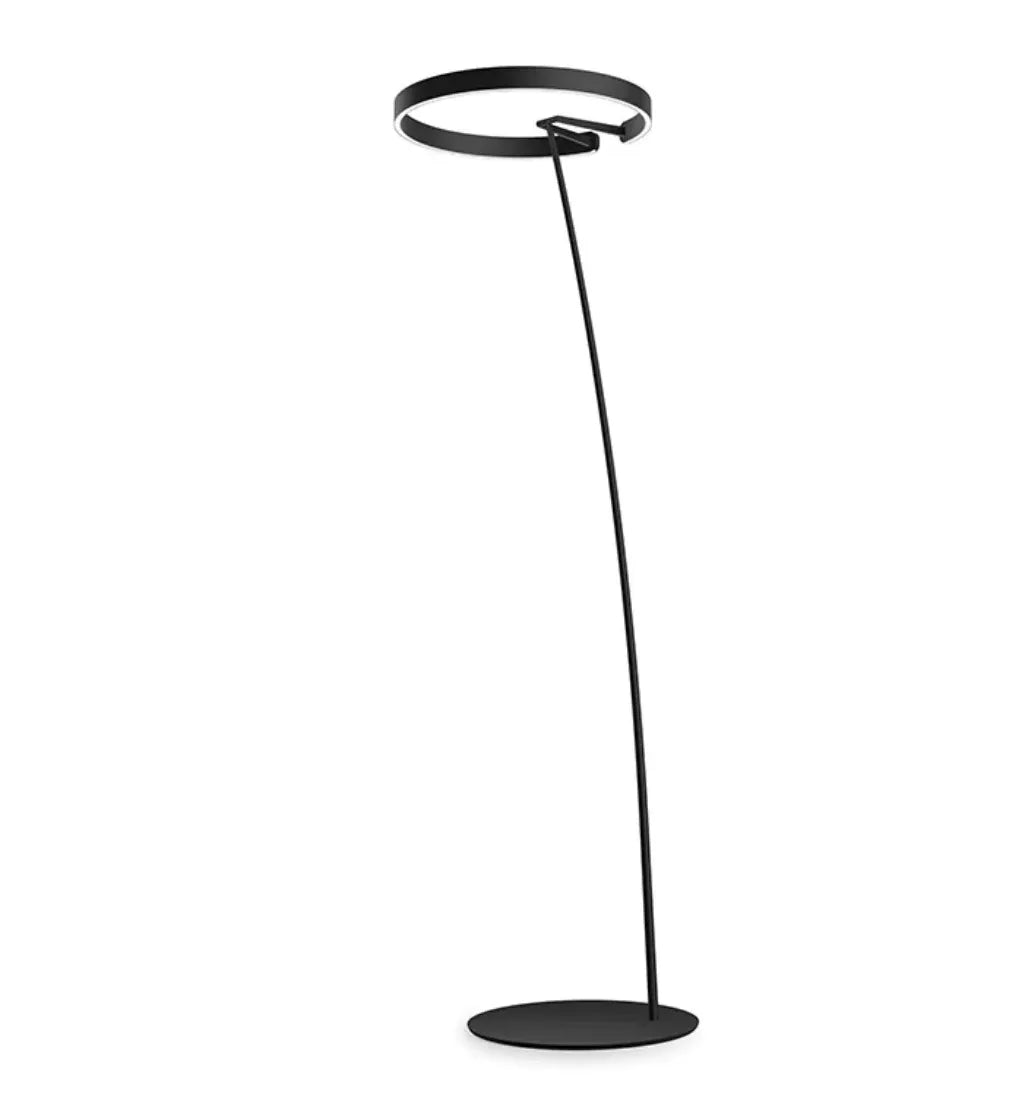 Black Ring Modern Arched Floor Lamp