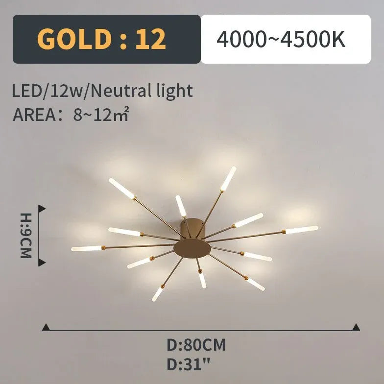 Feuerwerk moderne LED Flush Mount Deckenleuchte