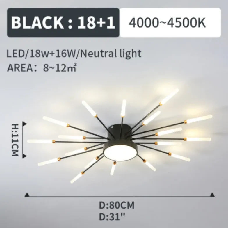 Black LED Modern Flush Ceiling Lights