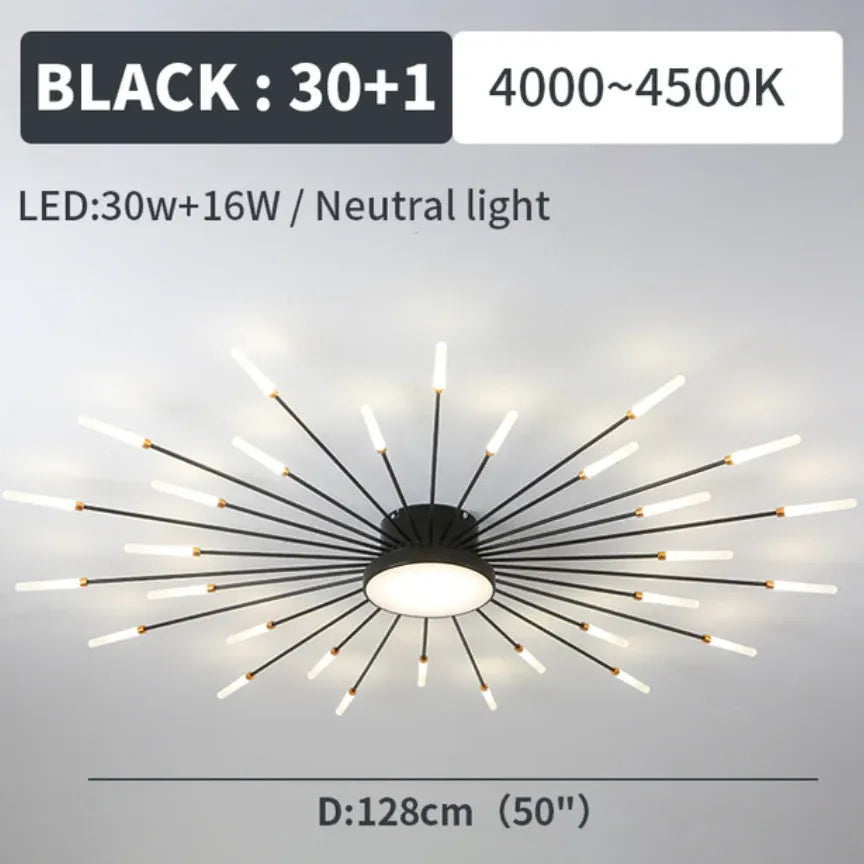 Black LED Modern Flush Ceiling Lights