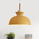 Black Semi-Spherical Minimalist Pendant Light