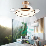 Transparent Ceiling Fan with Light Modern